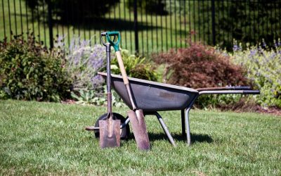 Improve Your Home’s First Impression with a Lawn Mowing Service Twin Cities Loves