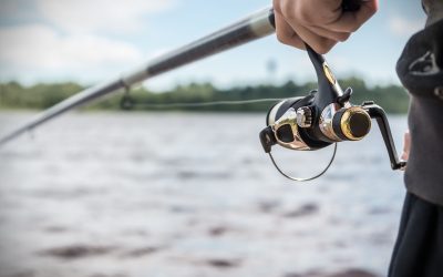 How to Choose the Right Fishing Rod Action for Shallow Water in Tampa, FL