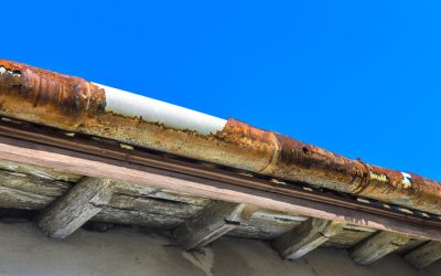 Prevent Costly Damage by Choosing Mold Removal In Denver, CO for Safe Clean Living