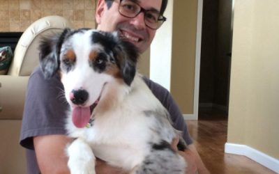 Help Your Dog Stay Active With Exercises To Strengthen Dogs Back Legs Safely at Home