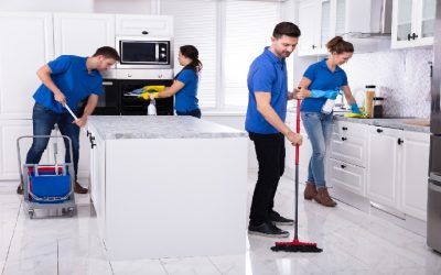 Unlock Sparkling Homes with Cleaning Services In Olathe, KS, for a Healthier Living Space