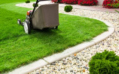 Create a Greener Yard with a Lawn Care Company Land O Lakes FL Residents Trust
