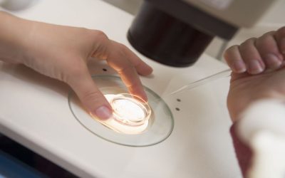 Understanding IV Therapy In Lakewood, CO, for Hydration and Wellness Support