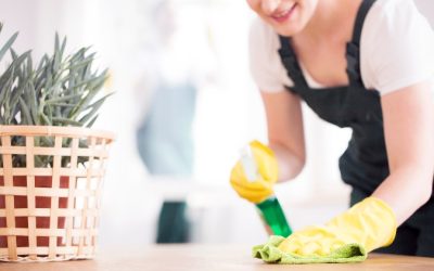 Maintain a Healthier Home Environment Using Home Cleaning In North Royalton, OH Expertise