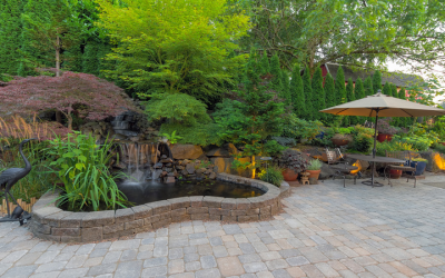 Modern Landscape Construction San Diego, CA for EcoFriendly and Stylish Backyards