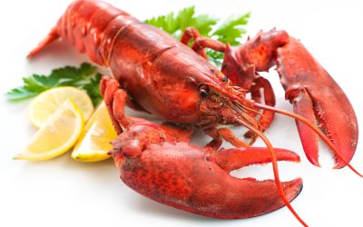 Experience the Unique Taste of Cajun Seafood Lafayette LA in Cozy Local Settings