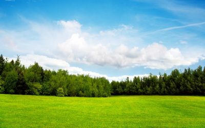 Secure Your Dream Property With Affordable Land For Sale Florida Opportunities