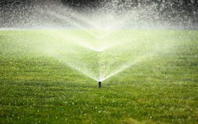 How Artificial Turf Helps Reduce Dust and Dirt Around Your Property