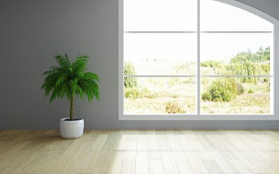 Boost Curb Appeal Instantly Through Window Replacement, Little Rock, AR Residents Love