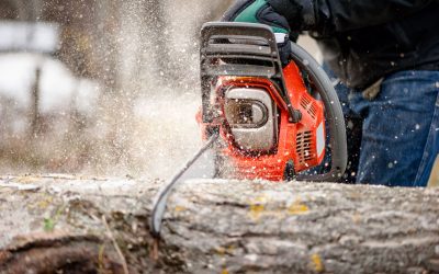 Choosing a Stump Grinding Company St. Petersburg FL Homeowners Can Rely On for Fast Results