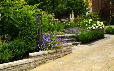 Create Your Dream Outdoor Space With Residential Landscaping Services Experts
