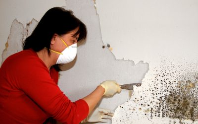 Fast Solutions with Water Damage Restoration Springboro, OH for Emergency Flood Cleanup