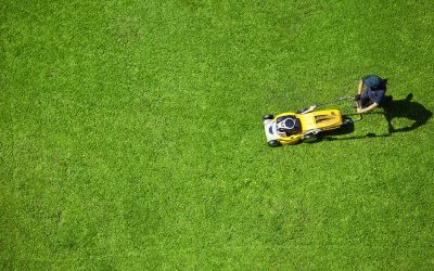 Transform Weekend Chores with Expert Lawn Care Services in Bartlett, TN