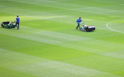 Achieve a Lush Lawn with Bermuda Grass Supplier Murrieta CA and Expert Installation Tips