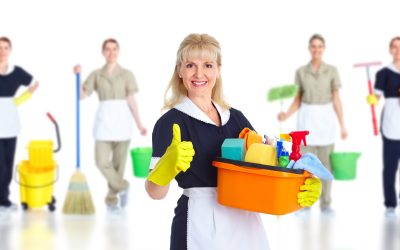 Achieve Spotless Living Spaces Using Professional House Cleaning in Lone Tree CO