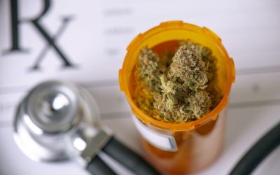 Navigating Local Laws for Cannabis Edibles Rochester NY Users Should Understand
