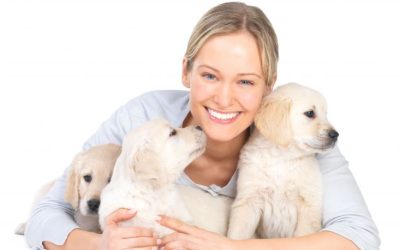 Pet Parents Feel Confident Leaving Their Pups At Trusted Dog Boarding In Manhattan Facilities