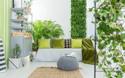 Experience a Tranquil Home Retreat with Interior Plant Design Services Chicago IL Experts