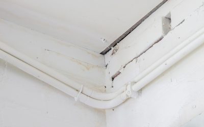 Keep Your Indoor Air Safe With Thorough Radon Inspections Spearfish SD Provides For Homeowners
