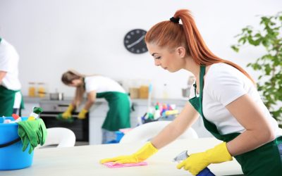 Maximize Cleanliness and Comfort Using Cleaning Services In North Aurora, IL, and Maid Services
