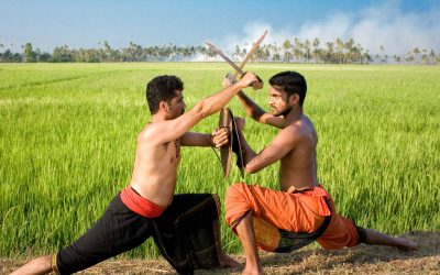 How Adult Martial Arts Magill SA Transforms Stress Relief and Motivation in South Australia