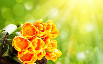 Ease the pain with thoughtful sympathy flowers Magnolia TX residents trust for memorials