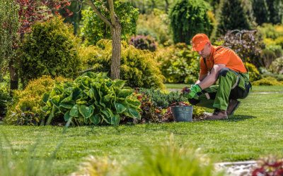 Increase Tenant Satisfaction with Commercial Landscaping Services Bethlehem PA Experts Provide