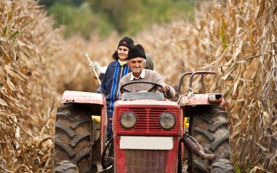 Choosing a Kubota Tractor Rental Dealer in Kiowa CO for Reliable Project Solutions