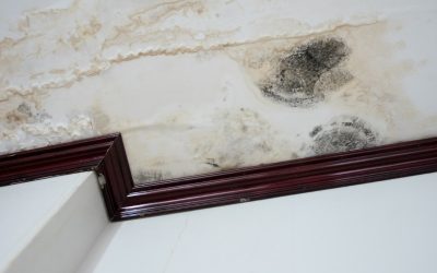 Fast Solutions for Water Damage Using Restoration Companies In Carmel, IN, Professionals