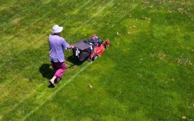 Achieve a Lush Green Lawn Using Lawn Care Services IN Fort Mill SC That Residents Trust