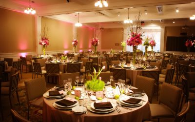 Planning a Dream Event Made Easy With a Wedding Party Hire Company Sydney USA Guide