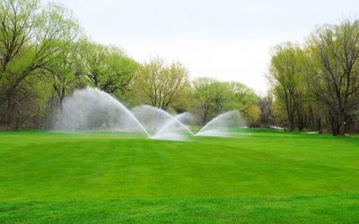 Simple Ways Lawn Mowing in Barrington, IL, Services Keep Your Yard Healthy and Green