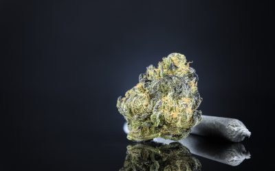 Trusted THCA Brands in the USA: What Buyers Should Look For