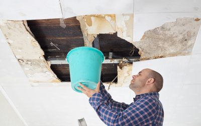 Prevent Future Losses from Basement Flood Damage in Elmhurst, IL with Proven Solutions
