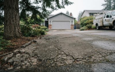 Signs Your Lynnwood Driveway Needs Help From an Asphalt Paving Contractor
