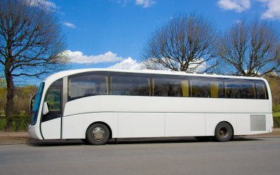 Best Bus Tours for Comfortable, Stress-Free Group Travel